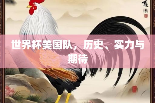 世界杯美国队,历史、实力广州熙林手袋有限公司与期待