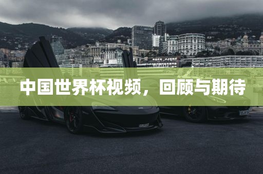 中国世界杯视频,回顾与期待