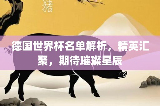 德国世界杯名单解析,精英汇聚,期待璀璨星辰