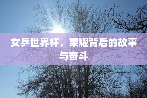 女乒世界杯,荣耀背后的故事与奋广州熙林手袋有限公司斗