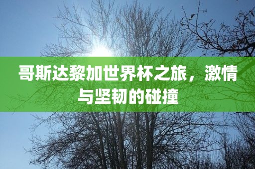 哥斯达黎加世界杯之旅，激情与坚韧的碰撞广州熙林手袋有限公司