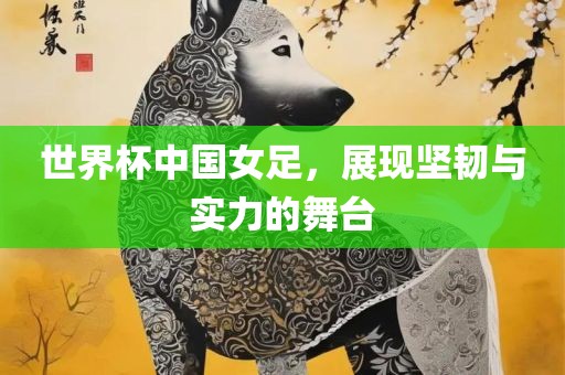 世界杯中国女足，展现坚韧与实力的舞台
