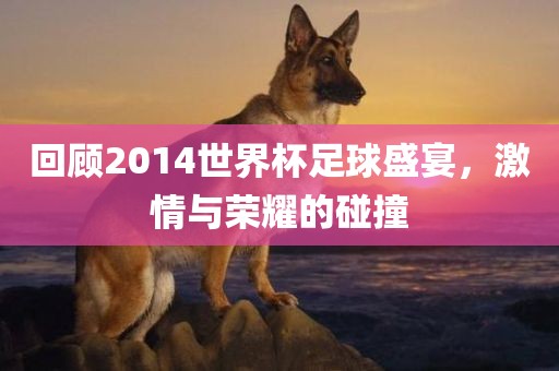 回顾2014世界杯足球盛宴,激情与荣耀的碰撞广州熙林手袋有限公司