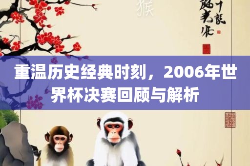 重温历史经典时刻，2006年世界杯决赛回顾与解析