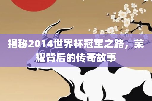 揭秘2014世界杯冠军之路,荣耀背后的传奇故事