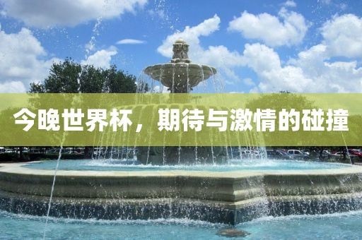 今晚世界杯,期待与激情的碰撞广州熙林手袋有限公司