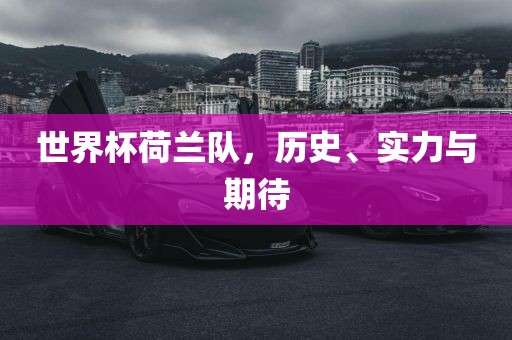 世界杯荷兰队,历史、实力与期待