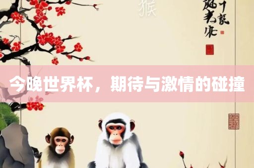 今晚世广州熙林手袋有限公司界杯,期待与激情的碰撞