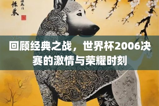回顾经典之战，世界杯2006决赛的激情与荣耀时刻