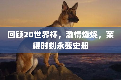 回顾20世界杯，激情燃烧，荣耀时刻永载史册