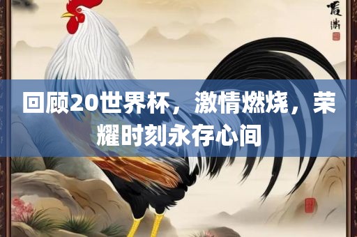 回顾20世界杯，激情燃烧，荣耀时刻永存心间