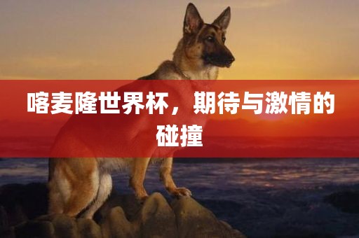 喀麦隆世界杯，期待与激情的碰撞