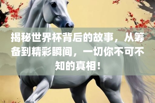 揭秘世界杯背后的故事，从筹备到精彩瞬间，一切你不可不知的真相！