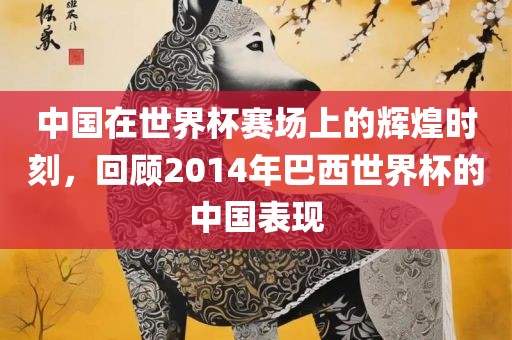 中国在世界杯赛场上广州熙林手袋有限公司的辉煌时刻，回顾2014年巴西世界杯的中国表现