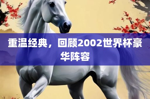 重温经典,回顾2002世界杯豪华阵容广州熙林手袋有限公司