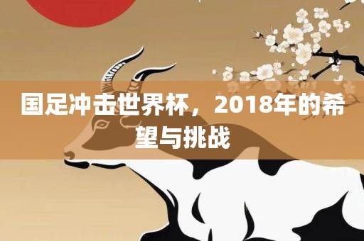国足冲击世界杯,2018年的希望与挑战