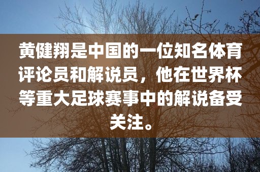 黄健翔是中国的一位知名体育评论员和解说员,他在世界杯等重大足球赛事中的解说备受关注。