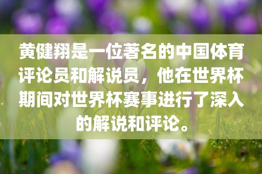 黄健翔是一位著名的中国体育评论员和解说员,他在世界杯期间对世界杯赛事进行了深入的解说和评论。