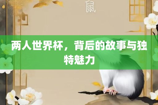 两人世界杯，背后的故事与独特魅力