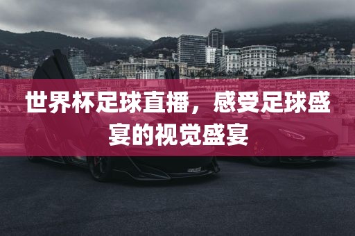 世界杯足球直播，感受足球盛宴的视觉盛宴