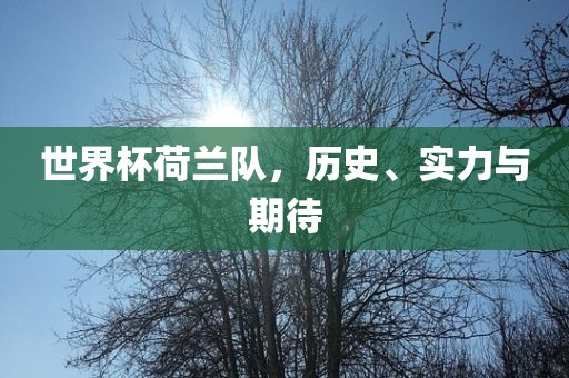世界杯荷兰队，历史、实力与期待