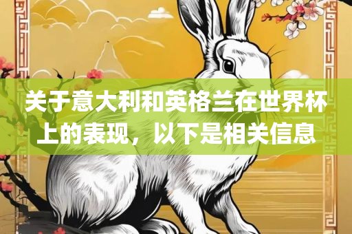 关于意大利和英广州熙林手袋有限公司格兰在世界杯上的表现，以下是相关信息