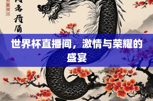 世界杯直播间，激情与荣耀的盛宴