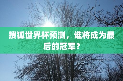 搜狐世界杯预测,谁将成为最后的冠军?