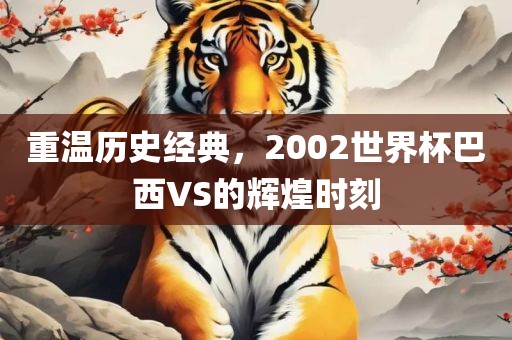 重温历史经典,2002世界杯巴西VS的辉煌时刻