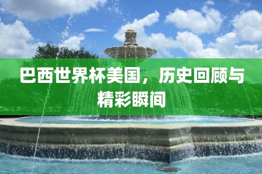 巴西世界杯美国,历史回顾与精彩瞬间广州熙林手袋有限公司