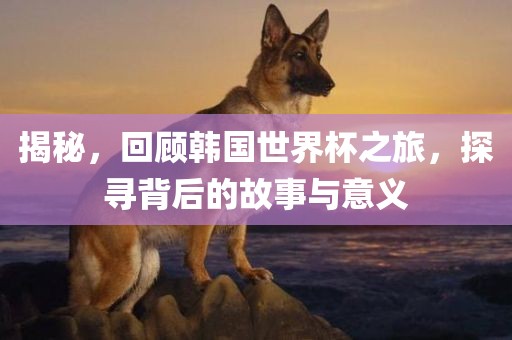 揭秘,回顾韩国世界杯之旅,探寻背后的故事与意义