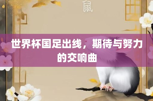 世界杯国足出线，期待与努力的交响曲