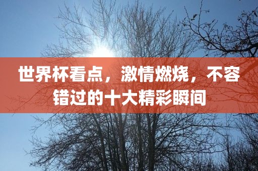 世界杯看点,激情燃烧,不容错过的十大精彩瞬间