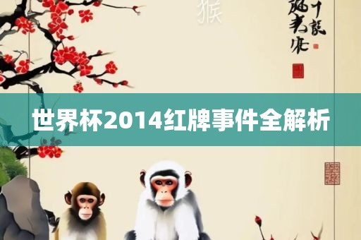 世界杯2014红牌事件全解析