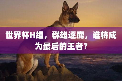 世界杯H组,群雄逐鹿,谁将成为最后的王者?