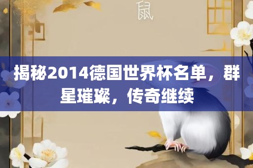 揭秘2014德国世界杯名单,群星璀璨,传奇继续