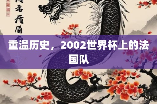 重温历史，2002世界杯上的法国队