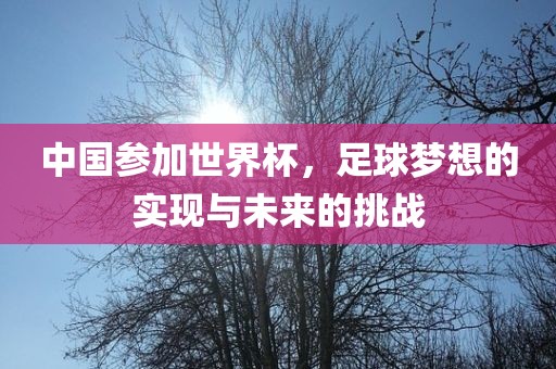 中国参加世界杯，足球梦想的实现与未来的挑战
