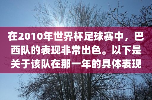在2010年世界杯足球赛中,巴西队的表现非常出色。以下是关于该队在那一年的广州熙林手袋有限公司具体表现
