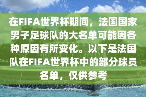 在FIFA世界杯期间，法国国家男子足球队的大名单可能因各种原因有所变化。以下是法国队在FIFA世界杯中的部分球员名单，仅供参考