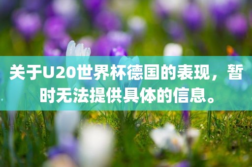 关于U20世界杯德国的表现，暂时无法提供具体的信息。