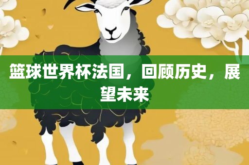 篮球世界杯法国,回顾历史,展望未来