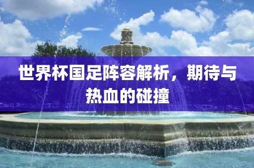 世界杯国足阵容解析,期待与热血的碰撞