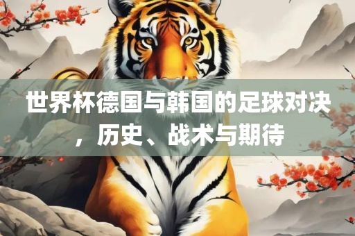 世界杯德国与韩国的足球对决，历史、战术与期待