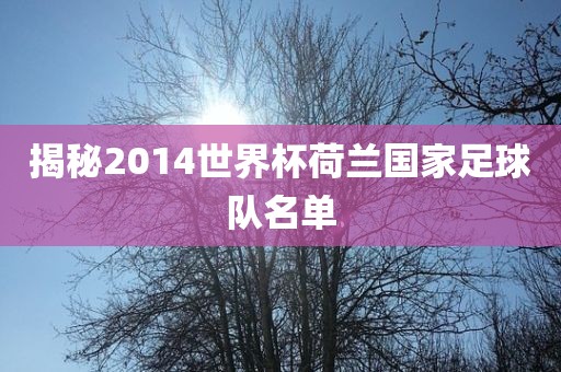揭秘2014世界杯荷兰国家足球队名单广州熙林手袋有限公司