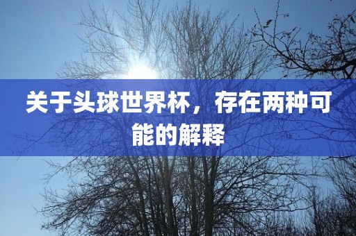 关于头球世界杯，存在两种可能的解释