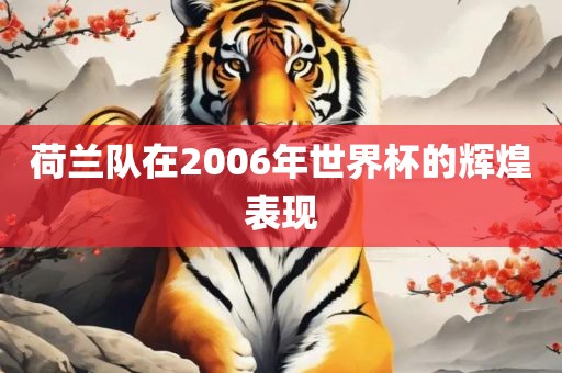 荷兰队在2006年世界杯的辉煌表现广州熙林手袋有限公司