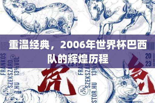 重温经典,2006年世界杯巴西队的辉煌历程广州熙林手袋有限公司