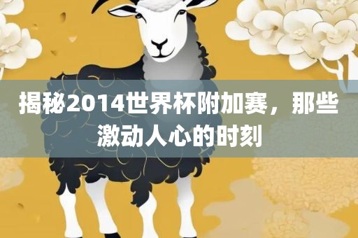 揭秘2014世界杯附加赛,那些激动人心的时刻
