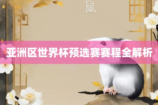 亚洲区世界杯预选赛赛程全解析